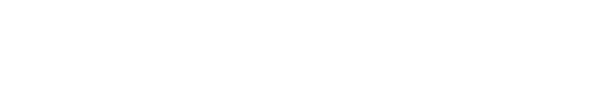 In-Car Chargers